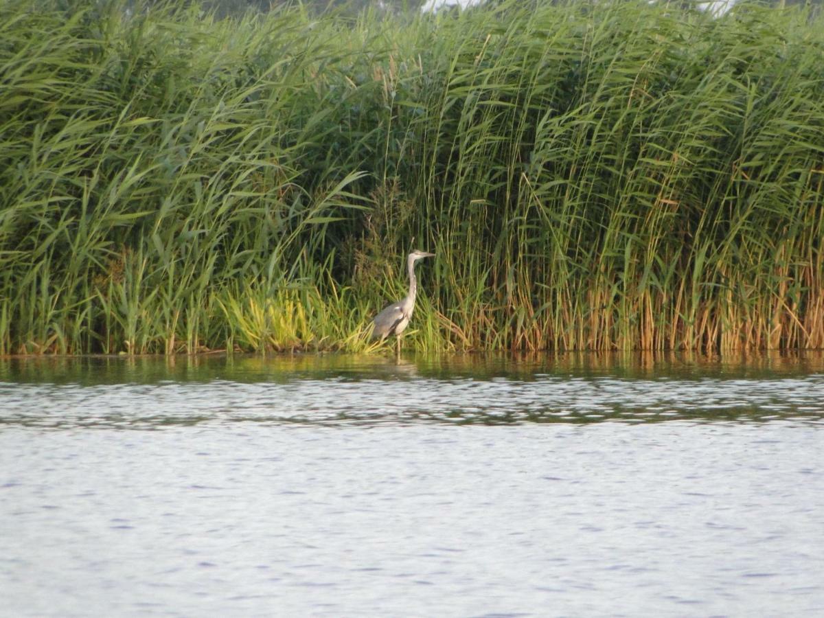 Zacisze Domki Letniskowe Karsibor Swinoujscie Kültér fotó