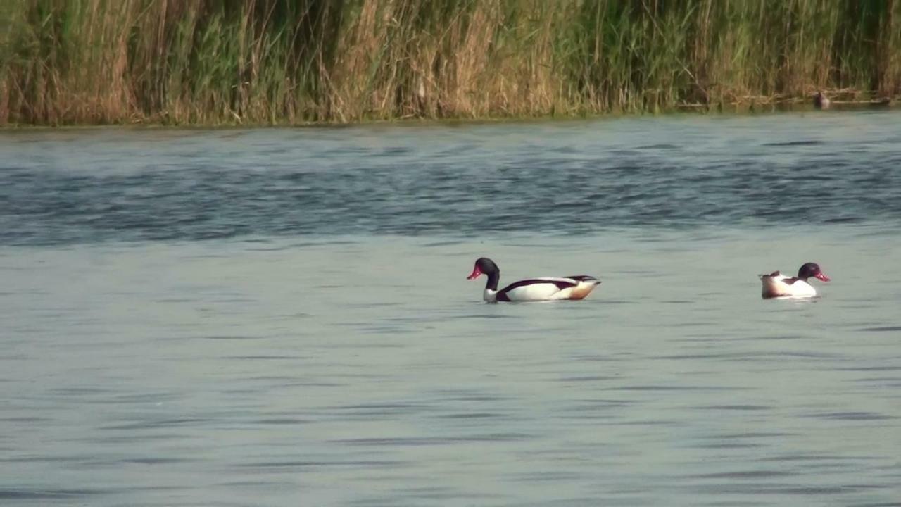 Zacisze Domki Letniskowe Karsibor Swinoujscie Kültér fotó