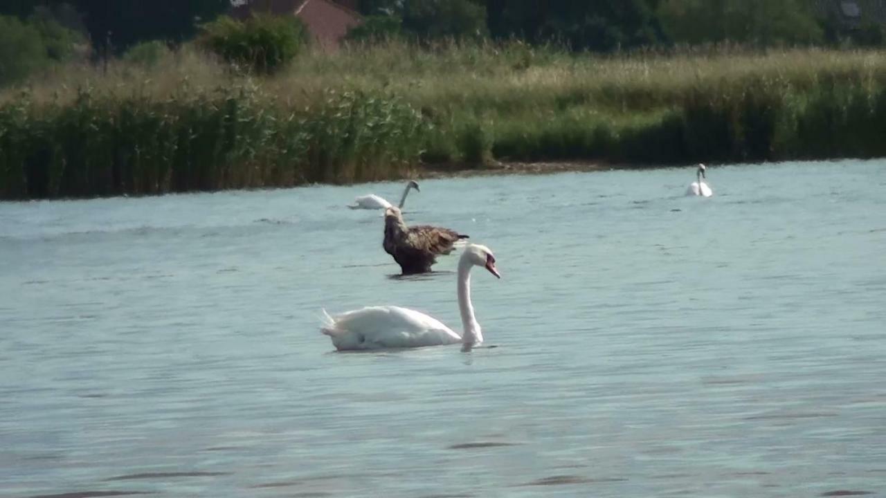 Zacisze Domki Letniskowe Karsibor Swinoujscie Kültér fotó